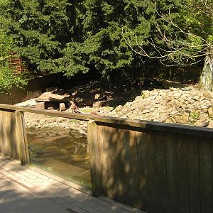 Plaswijckpark Rotterdam - Small-clawed otter enclosure