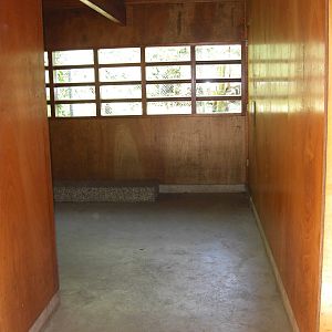 Plaswijckpark Rotterdam - Cathouse