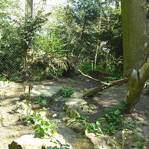 Plaswijckpark Rotterdam - Former Red Fox enclosure at the Cathouse