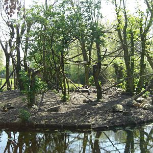 Plaswijckpark Rotterdam - Coati island