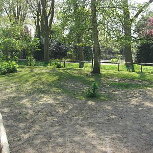 Plaswijckpark Rotterdam - South American pampas