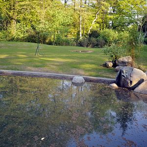 New australia enclosure