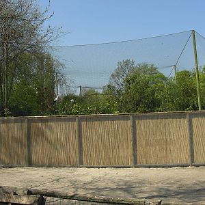 Plaswijckpark Rotterdam - Big aviary