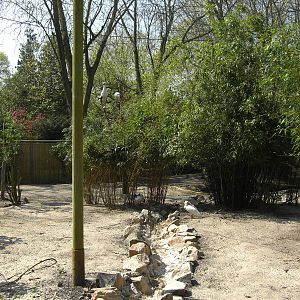 Plaswijckpark Rotterdam - Big aviary