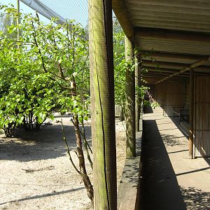 Plaswijckpark Rotterdam - Big aviary