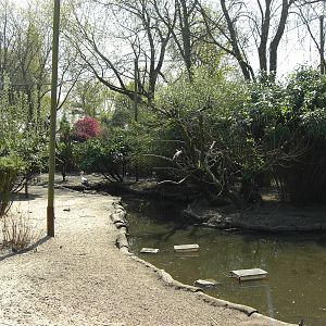 Plaswijckpark Rotterdam - Big aviary