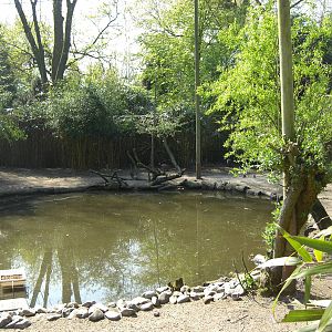 Plaswijckpark Rotterdam - Big aviary