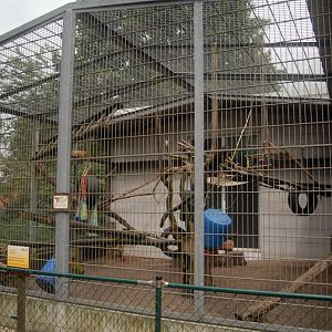 Barbary macaque cage at solingen