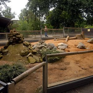 Meerkat enclosure at solingen
