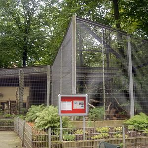 Lynx cage at solingen
