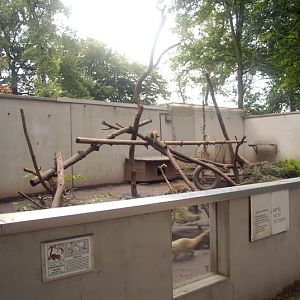 Coati exhibit at solingen
