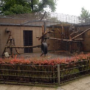 Crab-eating macaque cage at solingen