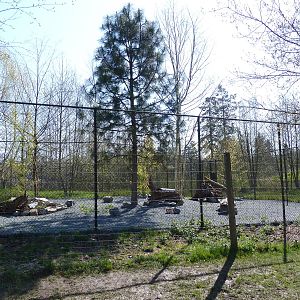 Bat-Eared Fox Exhibit - New In 2011