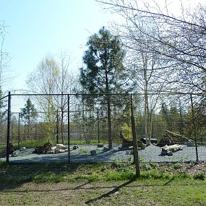Bat-Eared Fox Exhibit - New In 2011