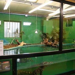 Siamese crocodile enclosure