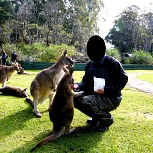 Trowunna Wildlife Park