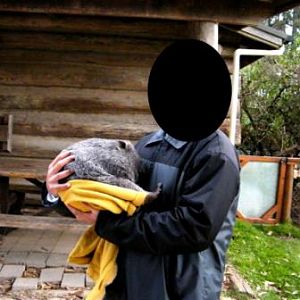 Trowunna Wildlife Park