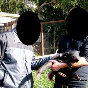 Trowunna Wildlife Park