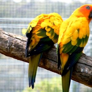 ZooDoo Wildlife Park