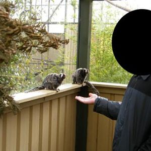 ZooDoo Wildlife Park