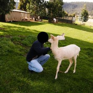 ZooDoo Wildlife Park