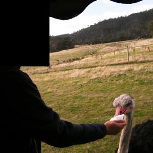 ZooDoo Wildlife Park