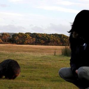 Narawntapu National Park, Tasmania