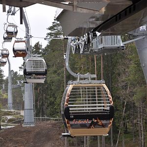 World sensational SAFARI 2011