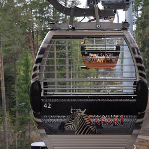 World sensational SAFARI 2011