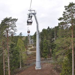 World sensational SAFARI 2011