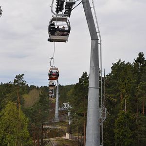 World sensational SAFARI 2011