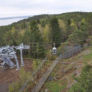 World sensational SAFARI 2011