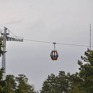 World sensational SAFARI 2011