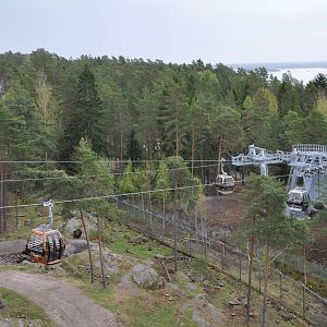 World sensational SAFARI 2011