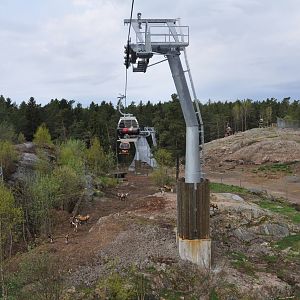 World sensational SAFARI 2011