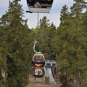 World sensational SAFARI 2011