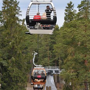 World sensational SAFARI 2011