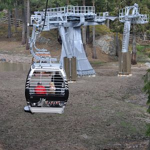 World sensational SAFARI 2011