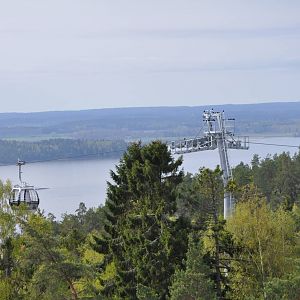 World sensational SAFARI 2011