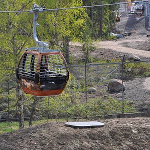 SAFARI 2011 - Close to the lions