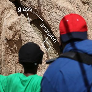 great scorpion exhibit