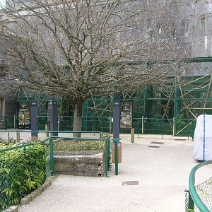 Enclose of callithricidés