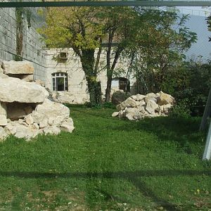 Enclose of Petrogale xanthopus xanthopus