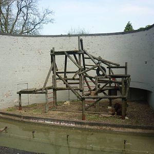 Orangutan enclosure left