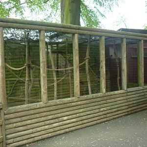Mongoose Lemur enclosure