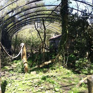 South American Walk-through - 24th April 2011