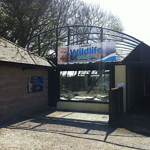 Snow Leopard Enclosure - 24th April 2011