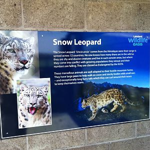 Snow Leopard Signage - 24th April 2011