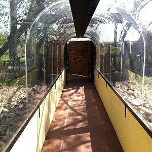 Tunnel - 24th April 2011