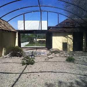 Snow Leopard Enclosure - 24th April 2011